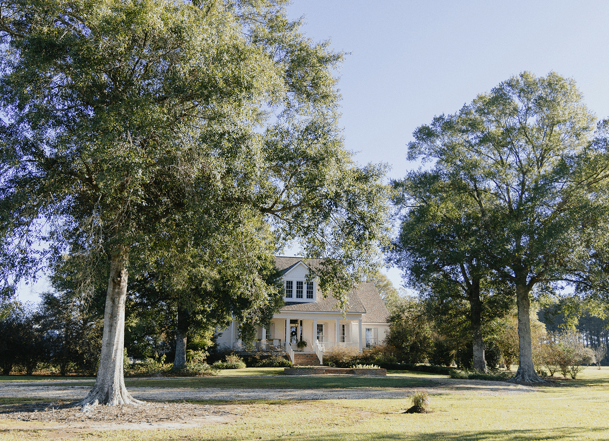 house peaking through some trees during the day
